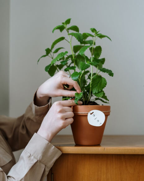 portfolio-04 Portfolio 04