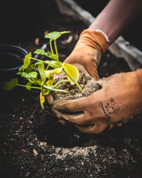 portfolio-05 Portfolio 05