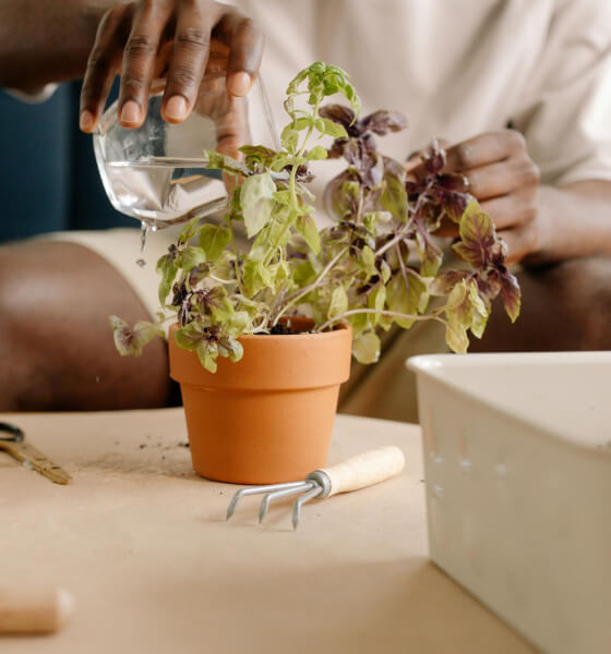 why-choose-us Why Choose Us